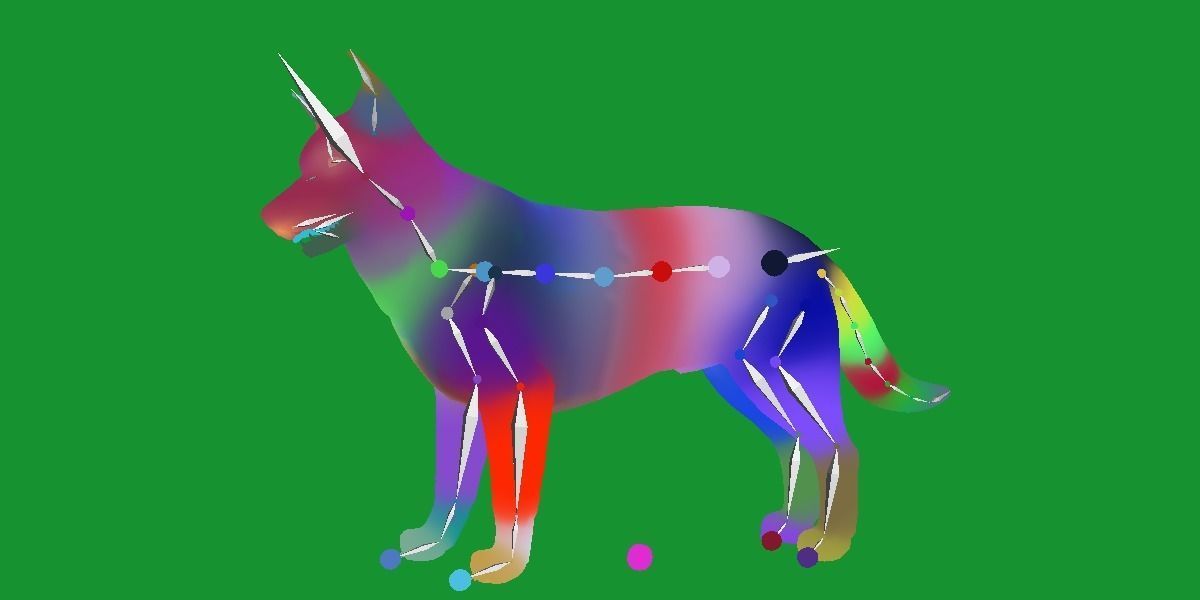 Lapponian Herder Dog Breed Low-poly 3D model_19