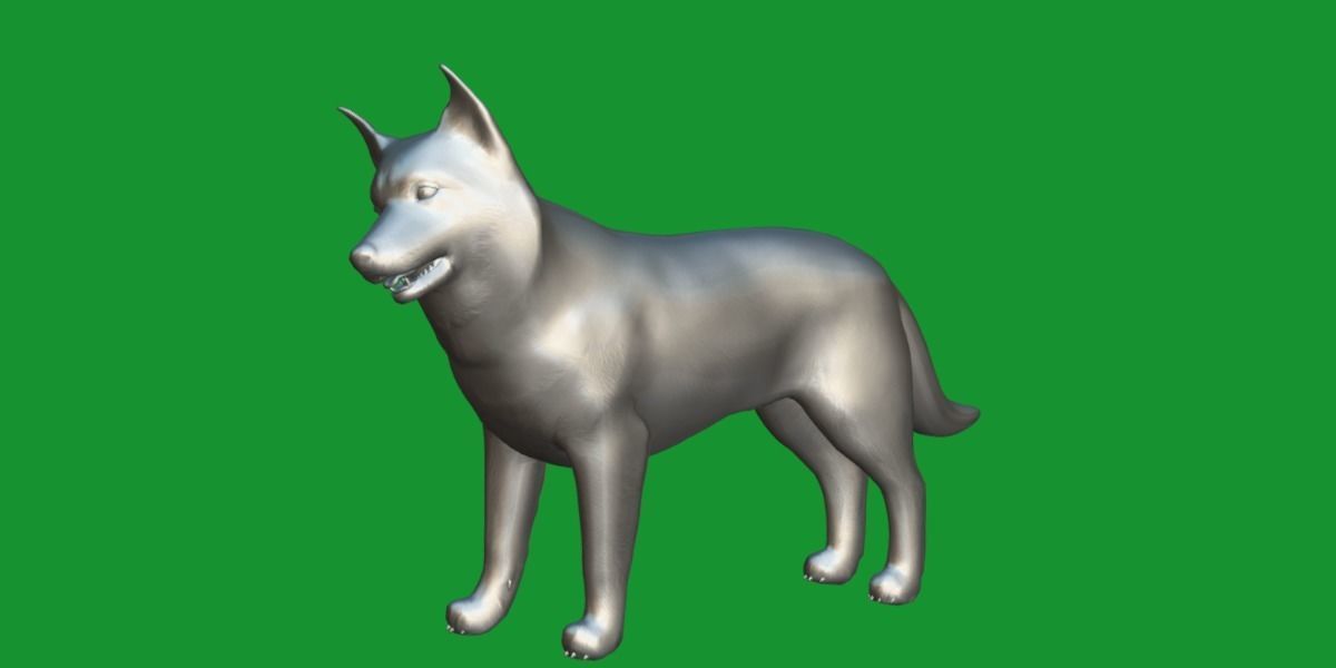 Lapponian Herder Dog Breed Low-poly 3D model_9