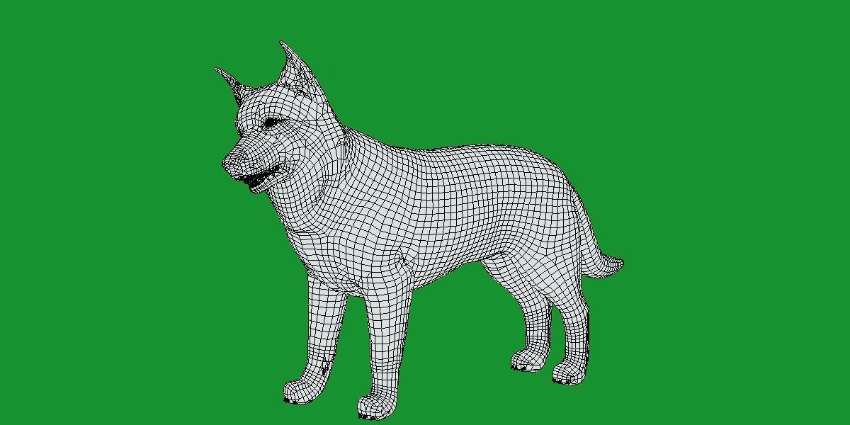 Lapponian Herder Dog Breed Low-poly 3D model_10