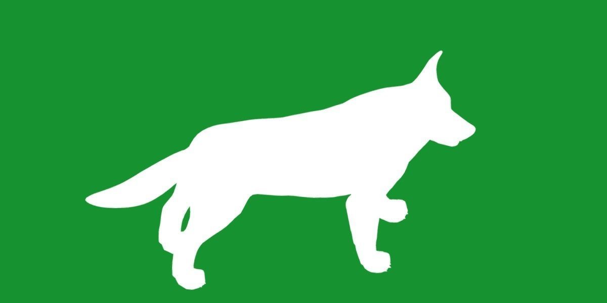 Lapponian Herder Dog Breed Low-poly 3D model_23