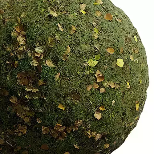 Ground Seamless Texture 2K - EXR 5 - JPG 5 Texture