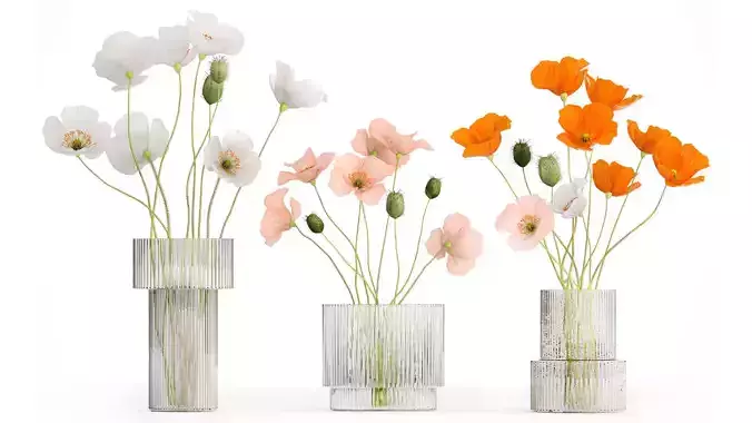 Bouquets of wildflowers with poppy in a glass vase 400