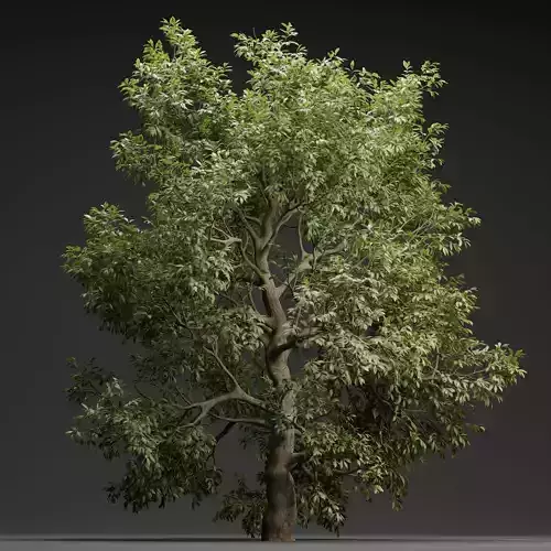 Tree for landscape vol 229-Blender 3D model