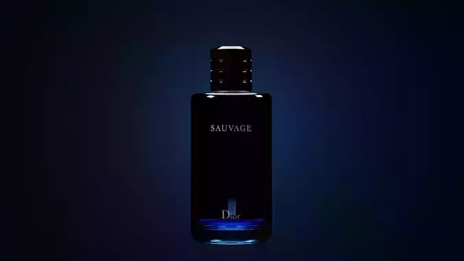 Dior Sauvage Perfume Bottle D Model