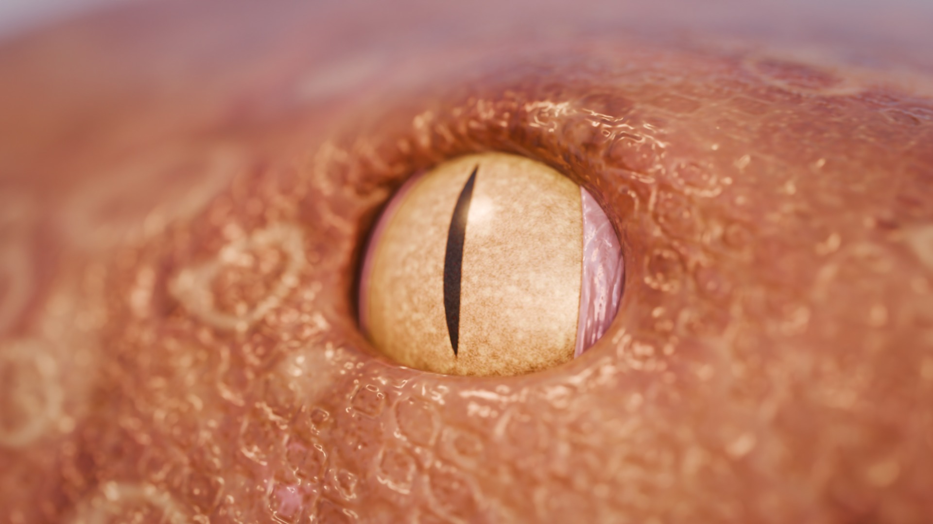 Titanoboa Snake Low-poly 3D model_9