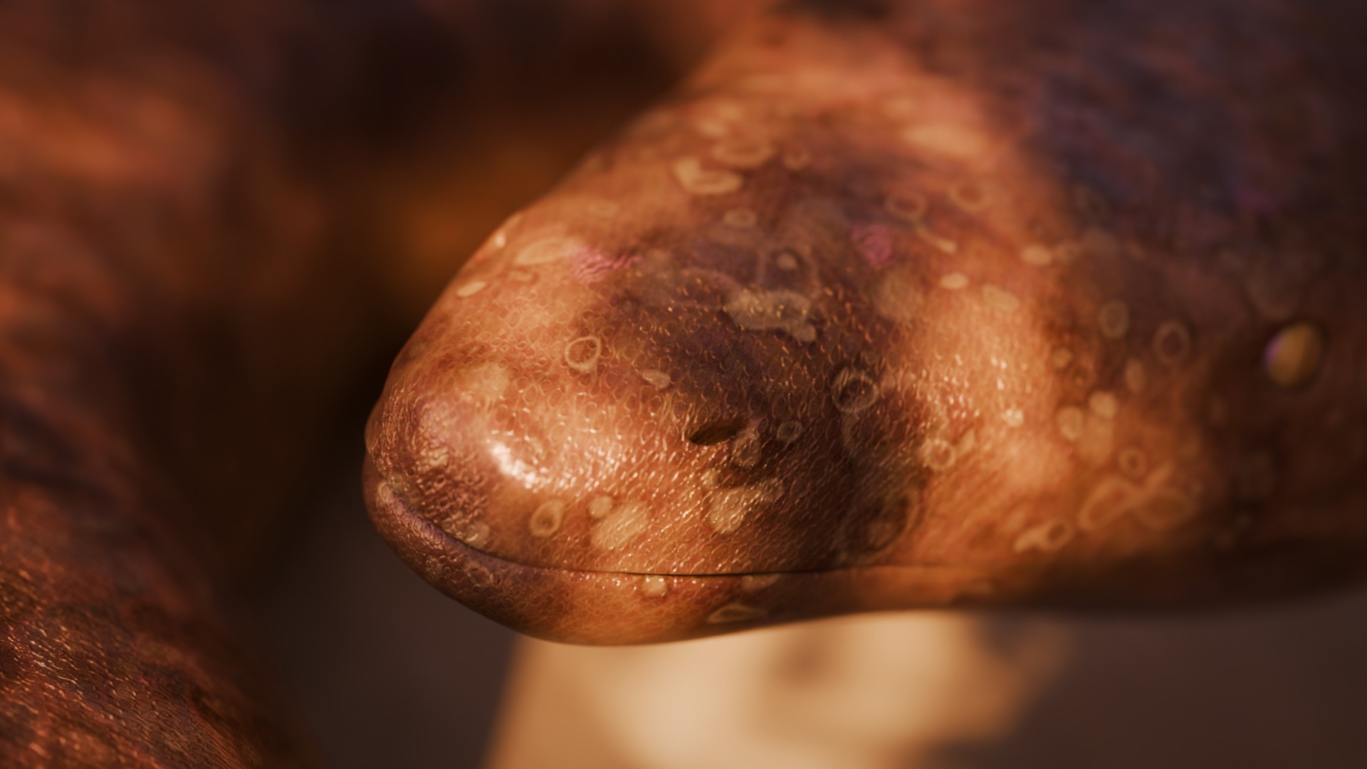 Titanoboa Snake Low-poly 3D model_12