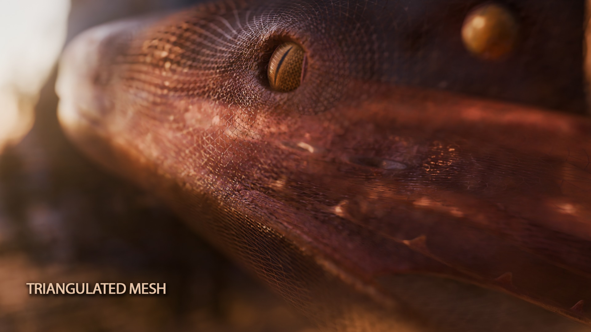 Titanoboa Snake Low-poly 3D model_22