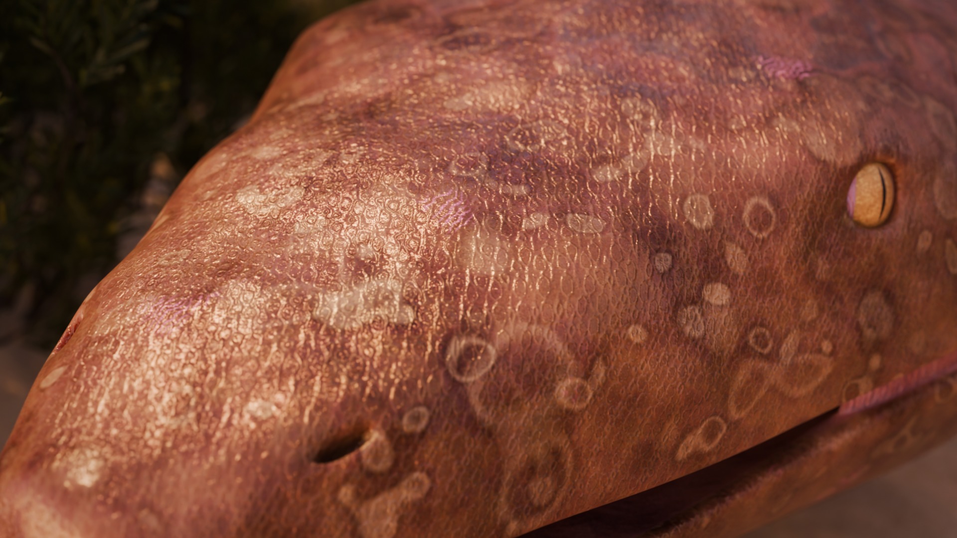 Titanoboa Snake Low-poly 3D model_15