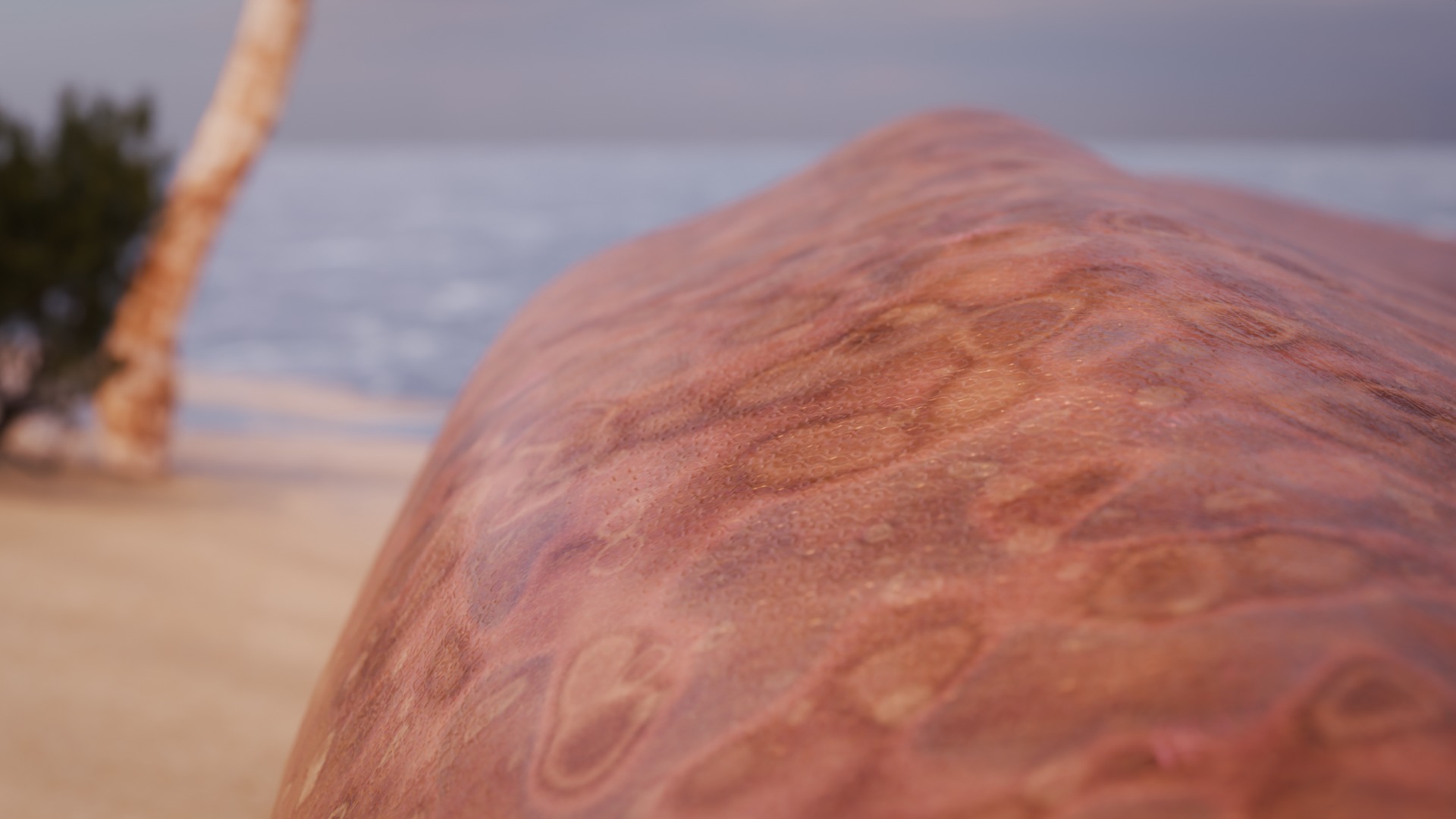 Titanoboa Snake Low-poly 3D model_14