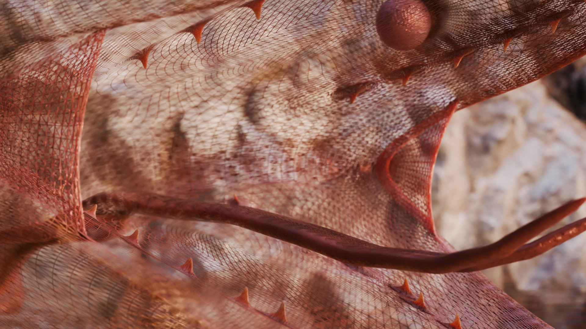 Titanoboa Snake Low-poly 3D model_27