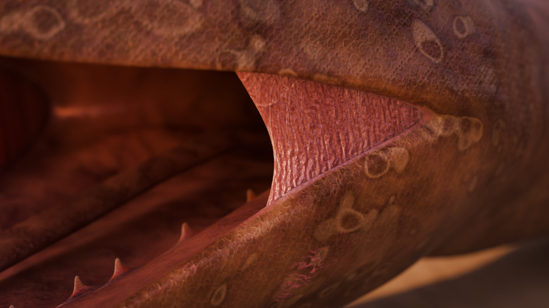 Titanoboa Snake Low-poly 3D model_7