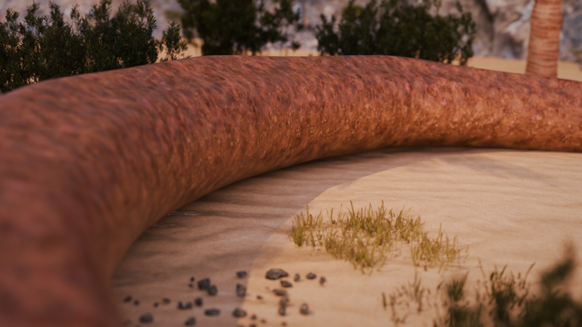 Titanoboa Snake Low-poly 3D model_5