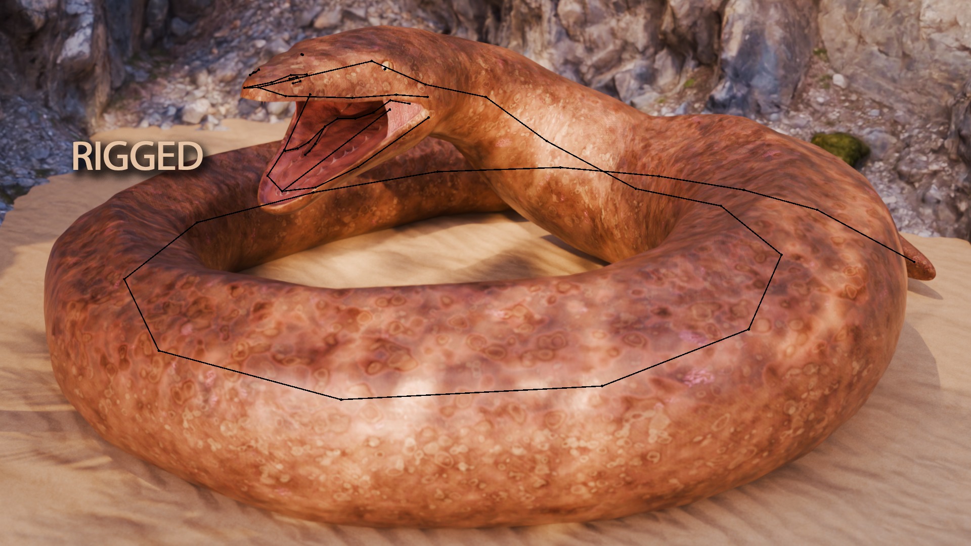 Titanoboa Snake Low-poly 3D model_16