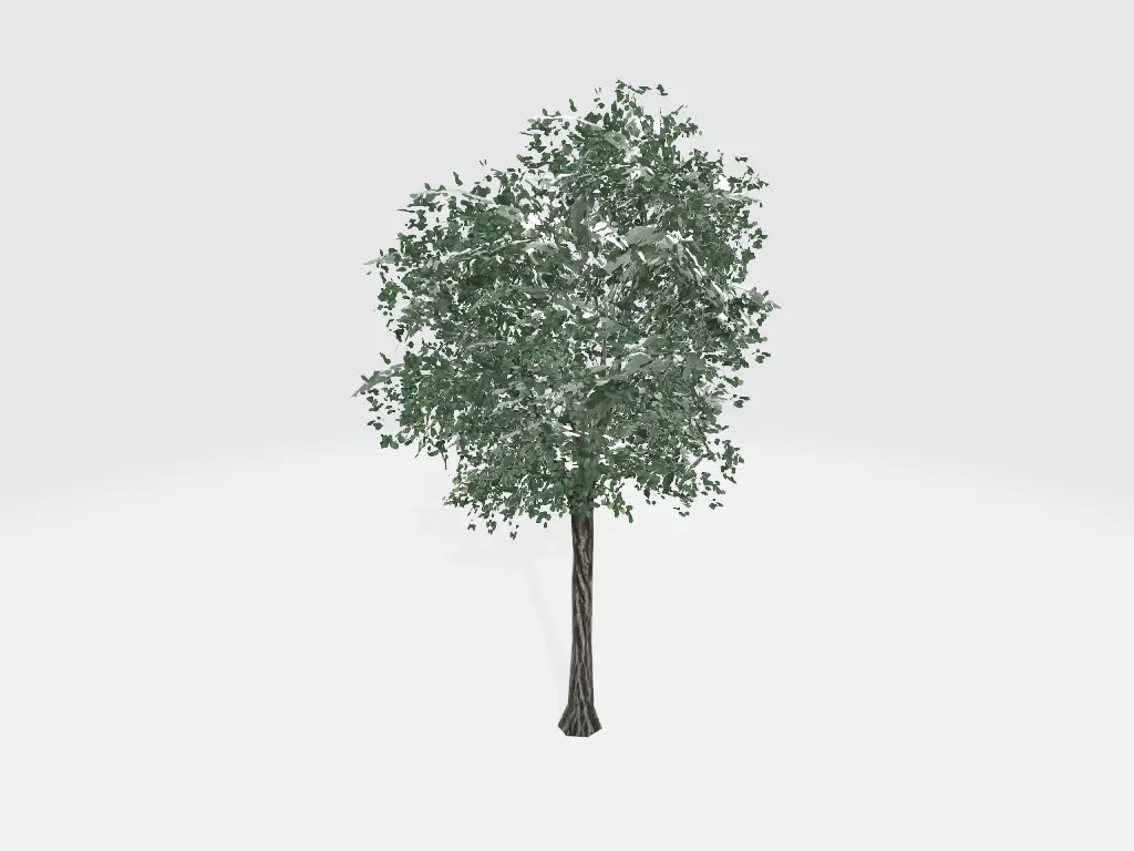 single tree Free low-poly 3D model_0