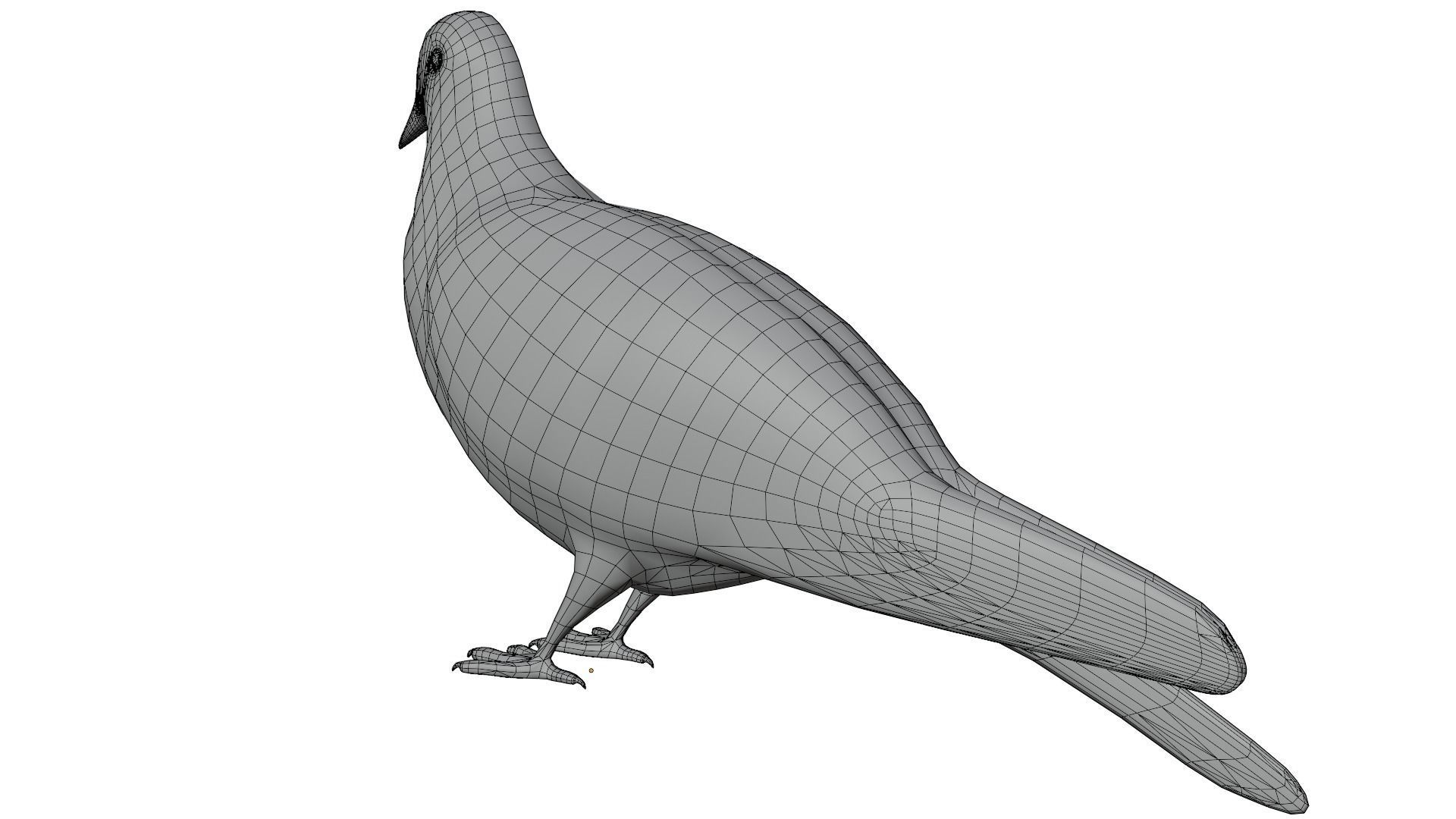 Pigeon 3D model_11