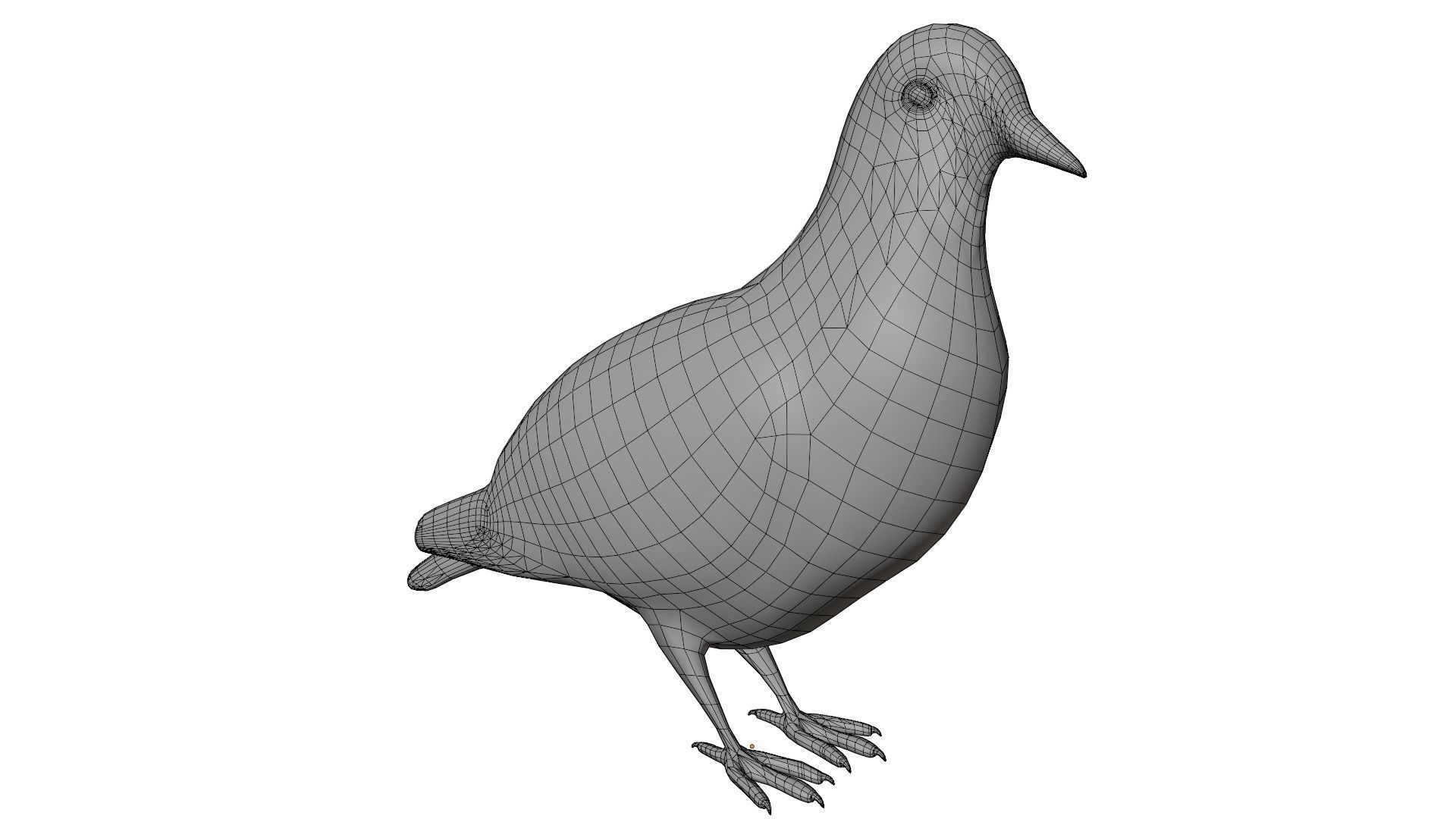 Pigeon 3D model_15