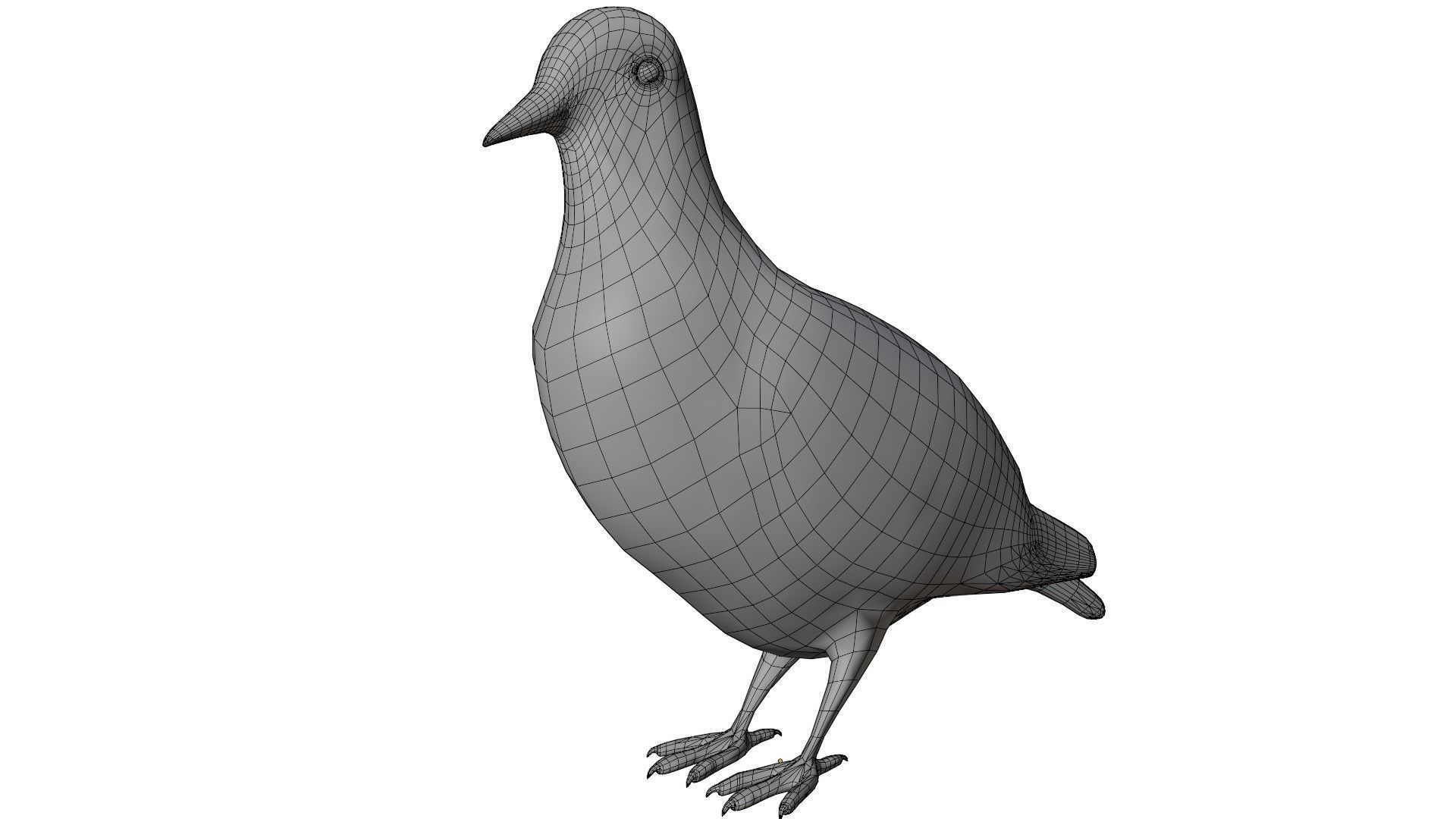 Pigeon 3D model_9