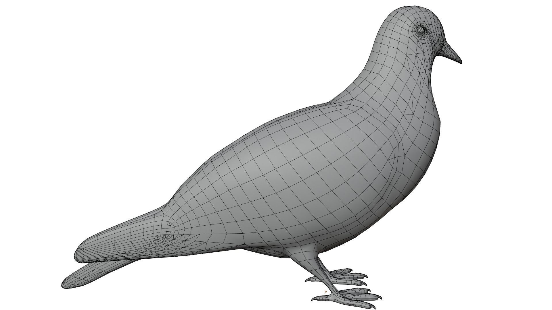 Pigeon 3D model_14