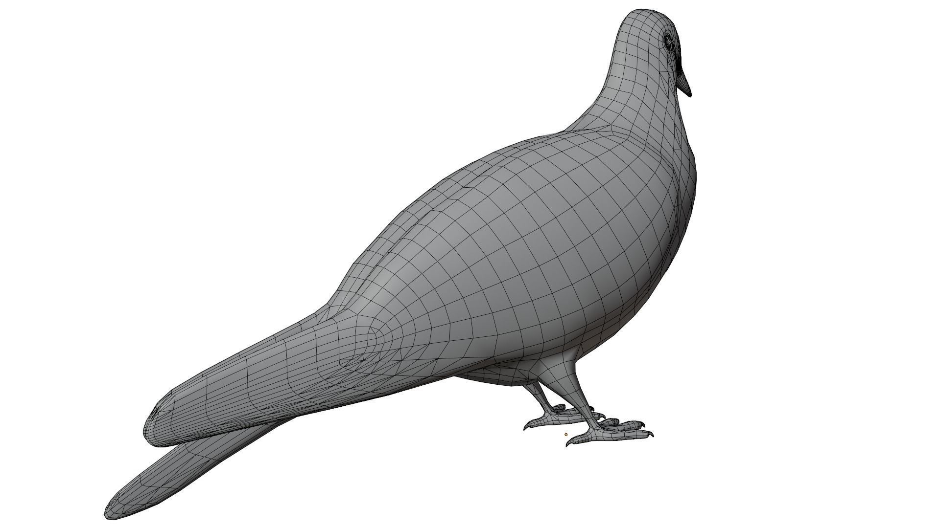 Pigeon 3D model_13