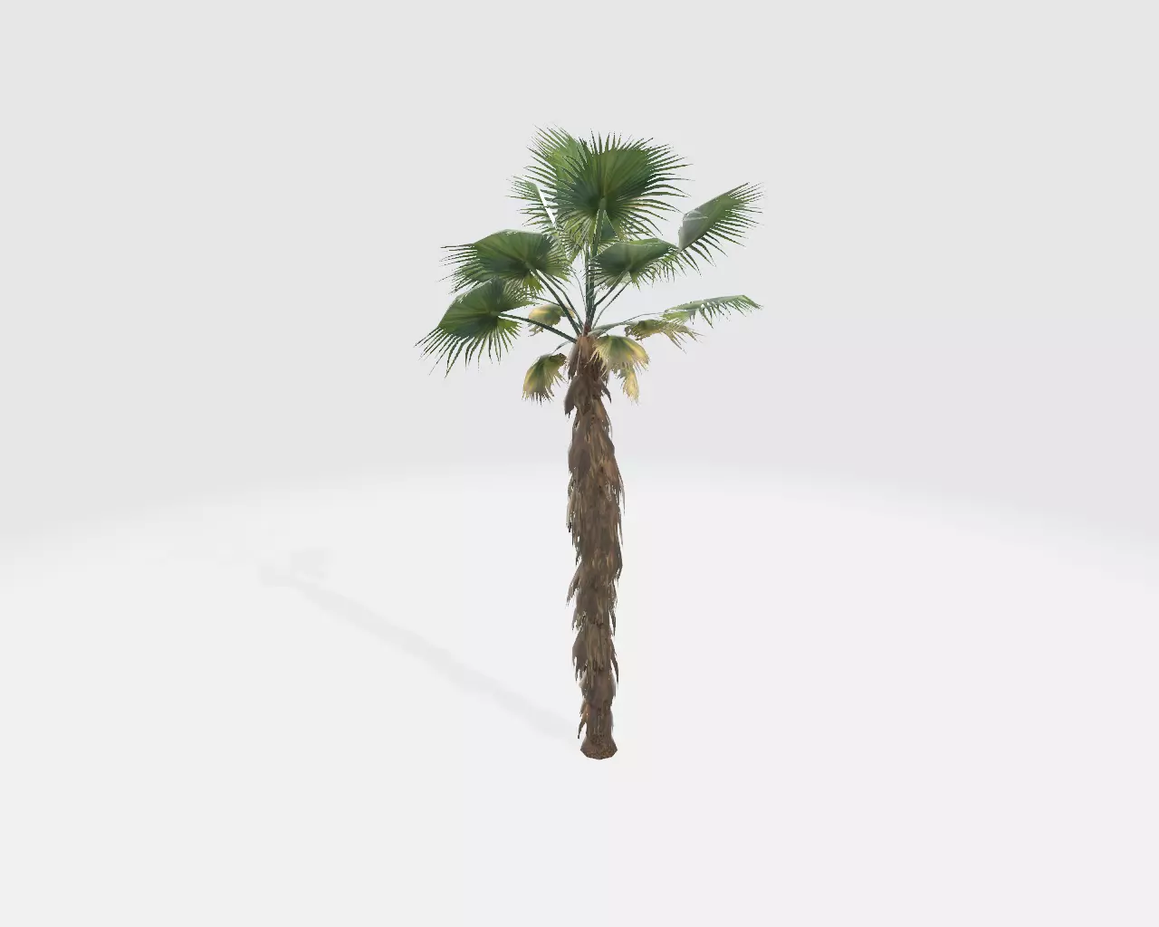 tree-10 Free low-poly 3D model