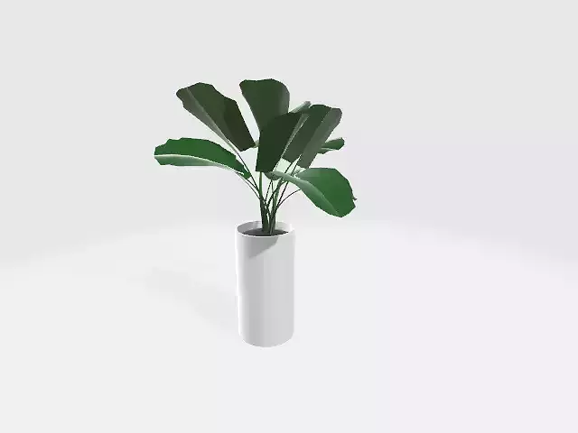 pot plant-17