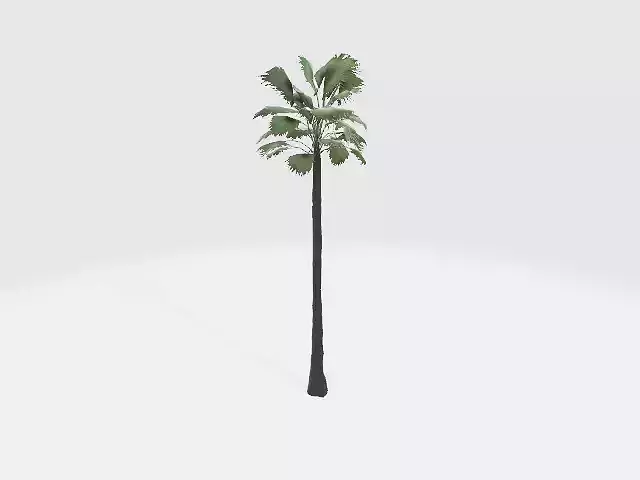 tree-01 free VR / AR / low-poly 3D model | CGTrader