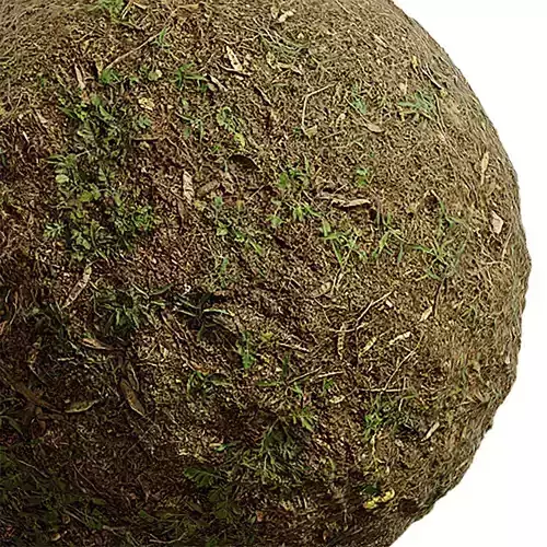 Ground Seamless Texture 2K - EXR 5 - JPG 5 Texture