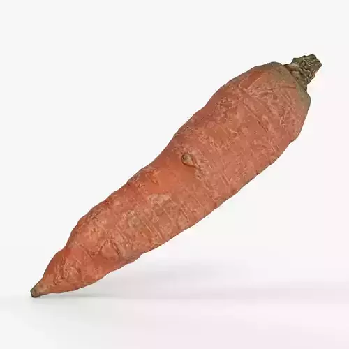 Photorealistic 3D scan of carrot Low-poly 3D model