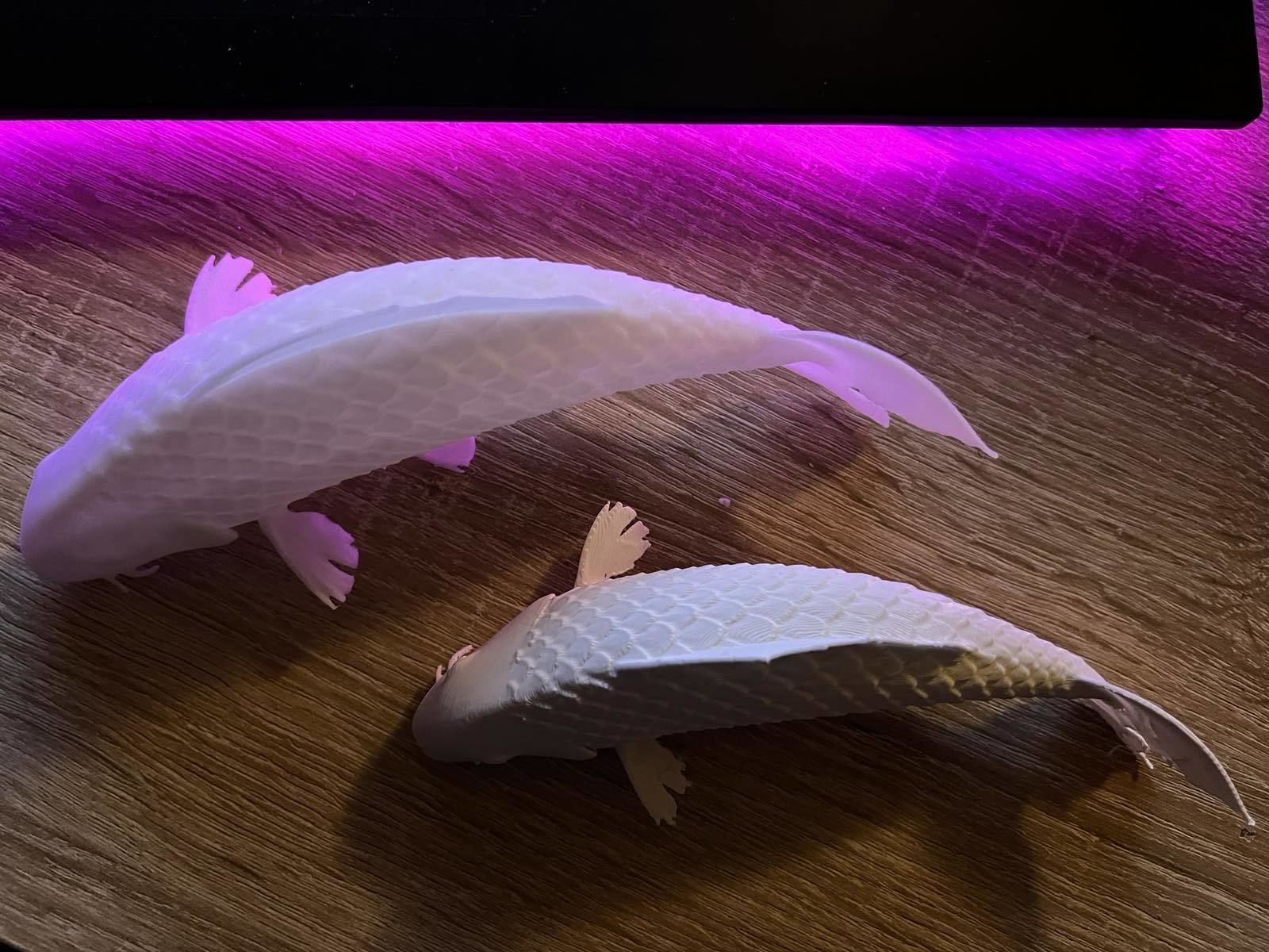 Koi wall decor fish 3dprint 3D print model_8
