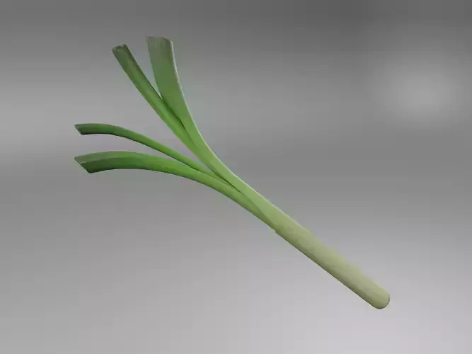 Leek Vegetable