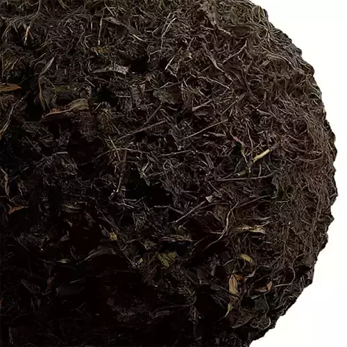 Ground Seamless Texture 2K - EXR 5 - JPG 5 Texture