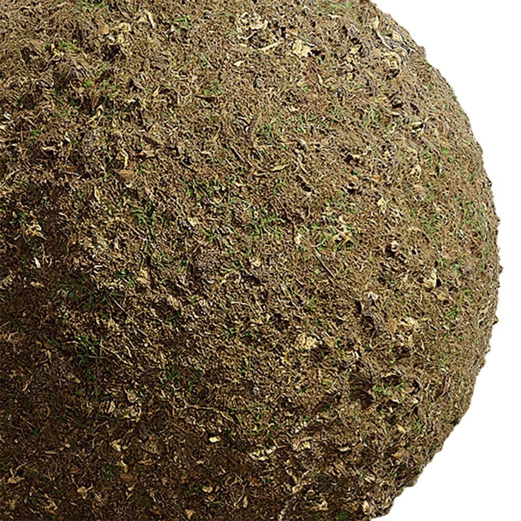Ground Seamless Texture 2K - EXR 5 - JPG 5 Texture Texture_1