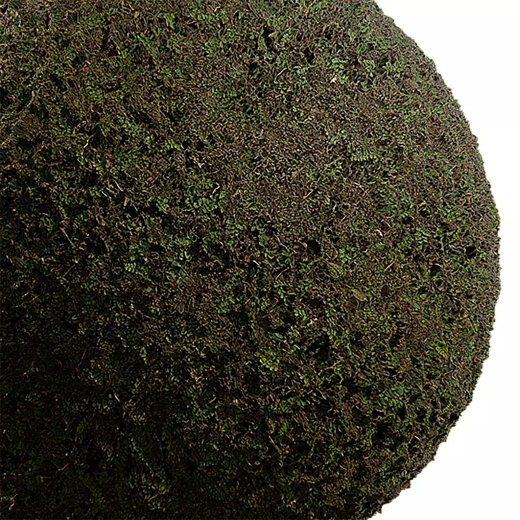 Ground Seamless Texture 2K - EXR 5 - JPG 5 Texture Texture_0