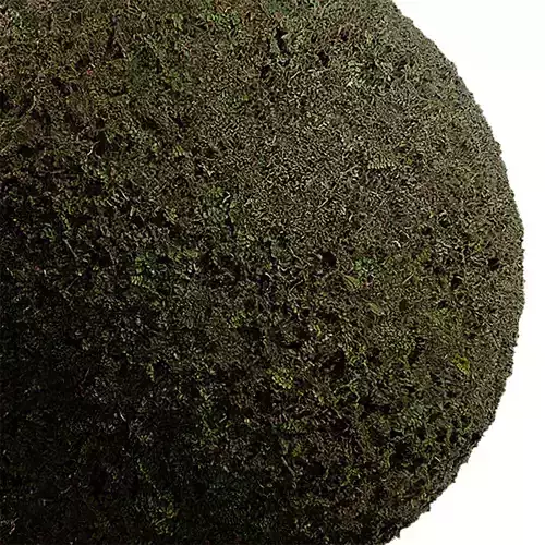 Ground Seamless Texture 2K - EXR 5 - JPG 5 Texture