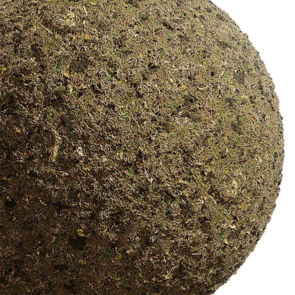 Ground Seamless Texture 2K - EXR 5 - JPG 5 Texture Texture_2