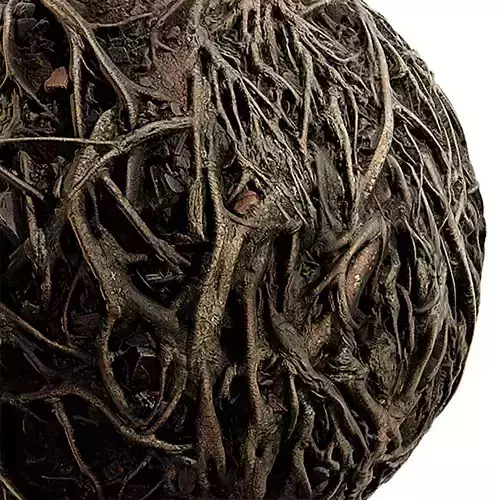 Ground Seamless Texture 2K - EXR 5 - JPG 5 Texture