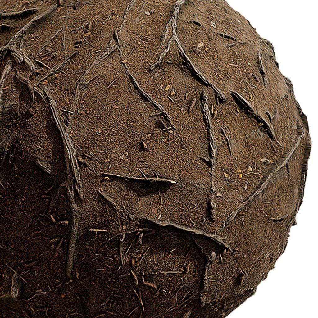 Ground Seamless Texture 2K - EXR 5 - JPG 5 Texture Texture_2