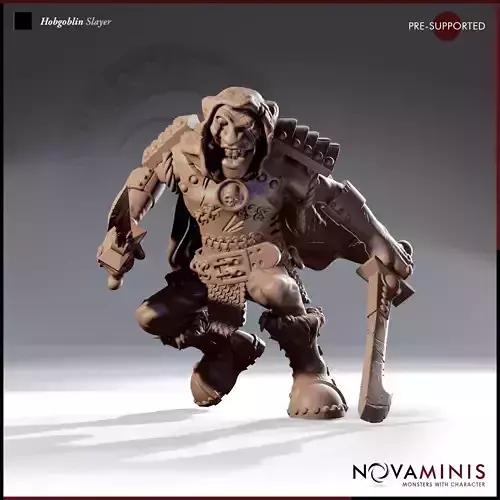 Hobgoblin Slayer 3D print model