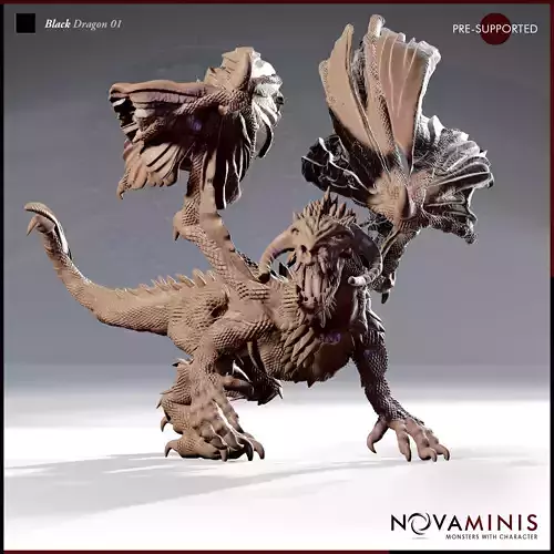 Black Dragon 01