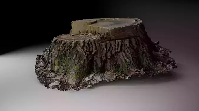 SCANNED Tree stump HIGH POLY COUNT
