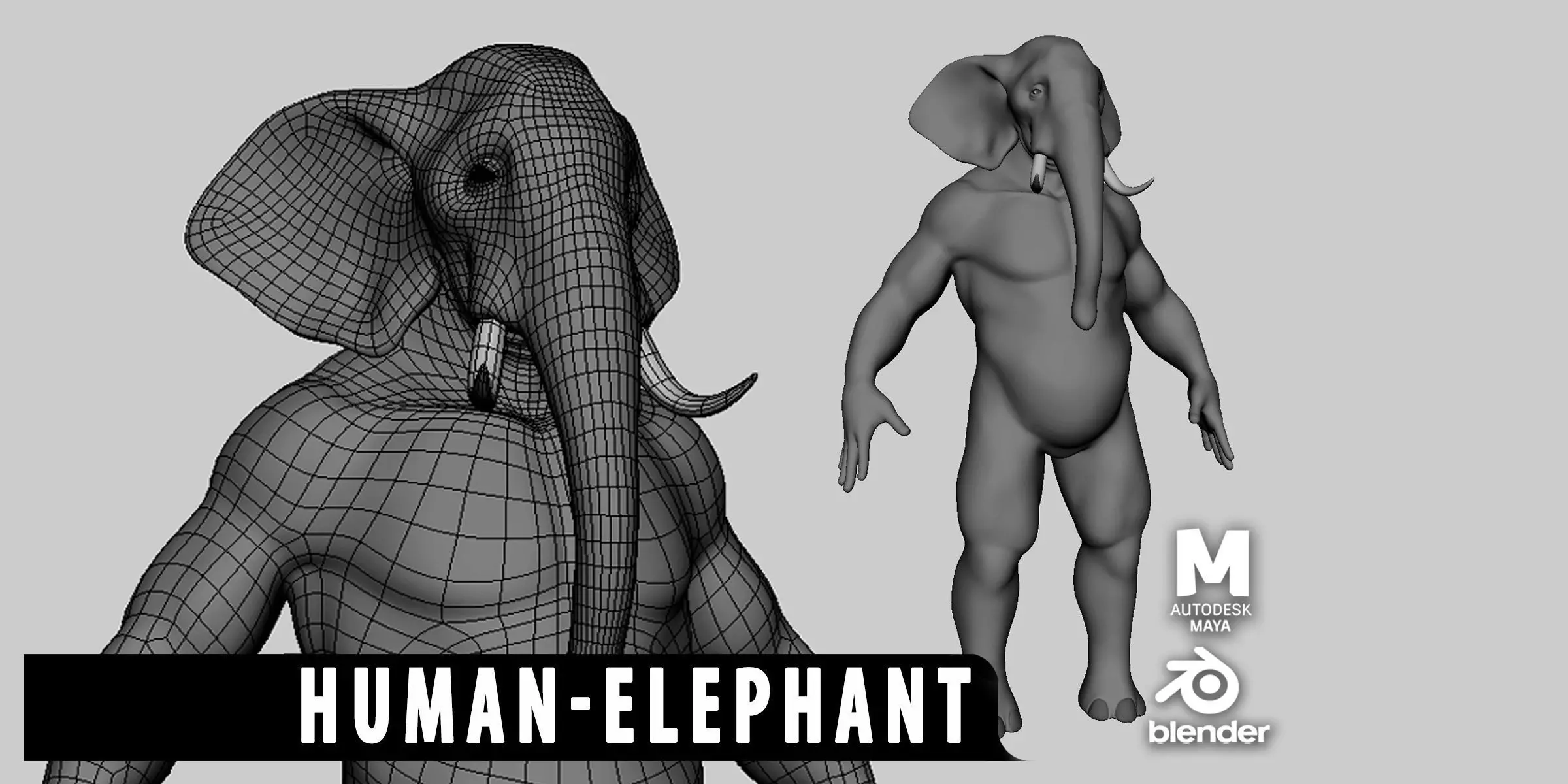 Human Elephant Basemesh Low-poly 3D model_0