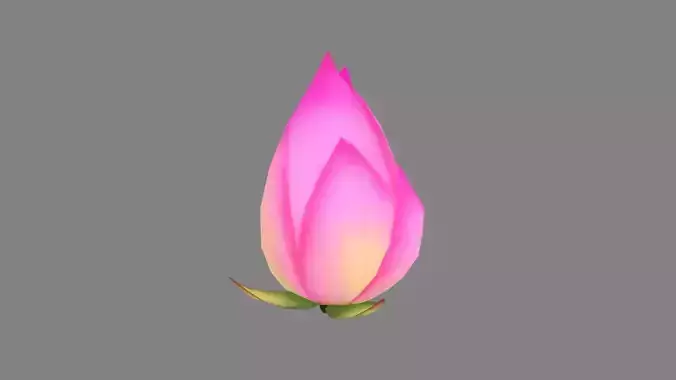 A purple lotus bud - Cartoon lotus