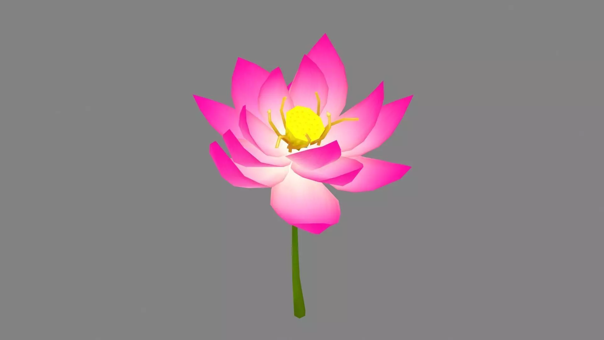 A purple lotus - Cartoon lotus - Open stamens Low-poly 3D model