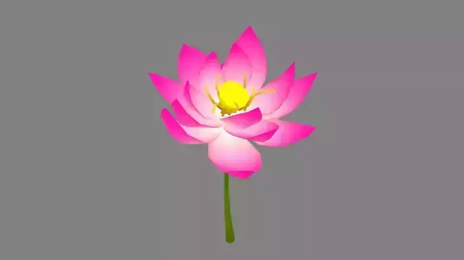 A purple lotus - Cartoon lotus - Open stamens