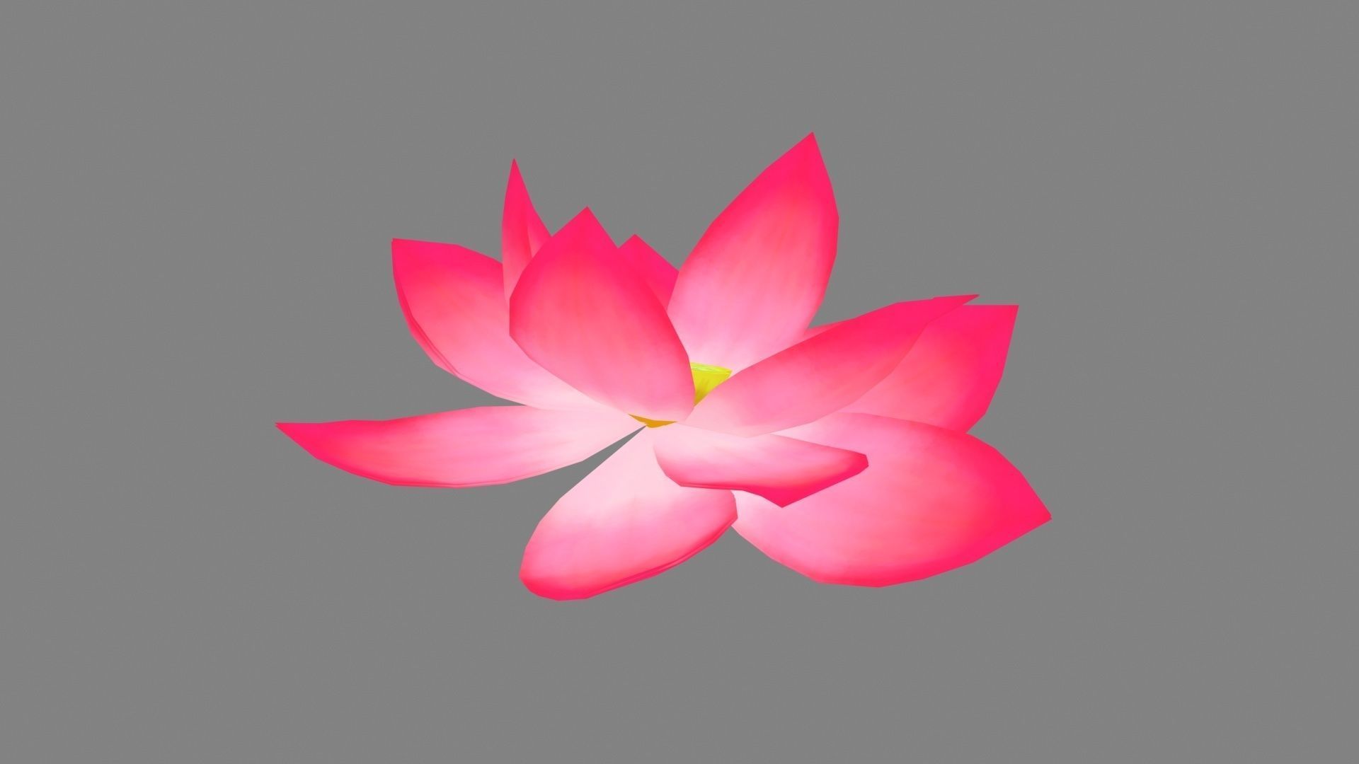 A red lotus - Cartoon lotus - Open stamens Low-poly 3D model_2