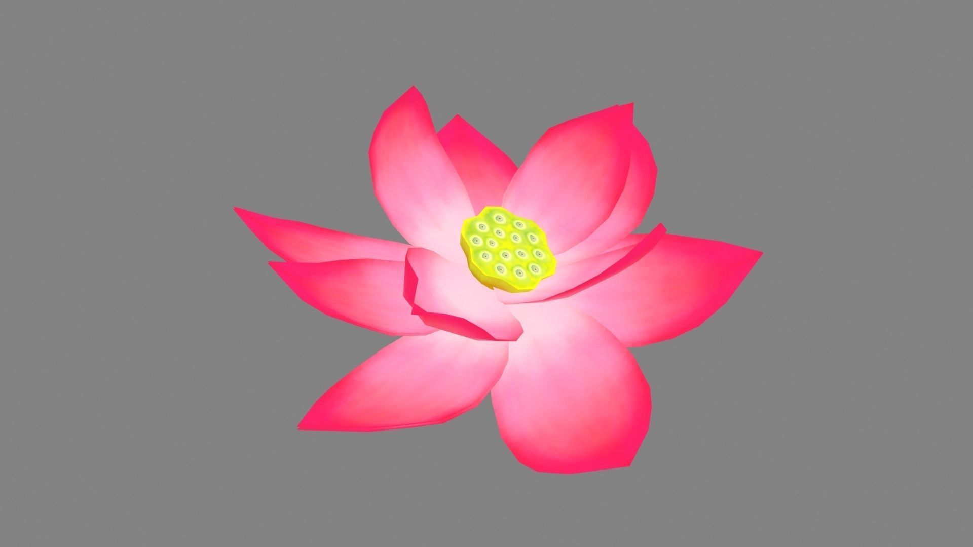 A red lotus - Cartoon lotus - Open stamens Low-poly 3D model_1