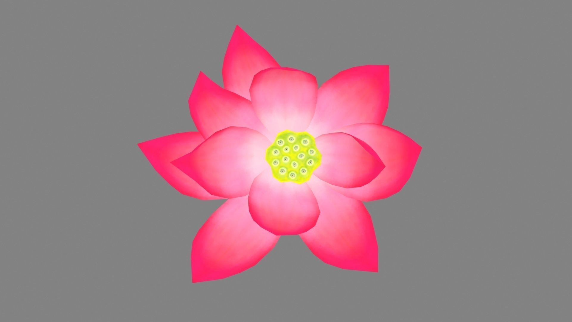 A red lotus - Cartoon lotus - Open stamens Low-poly 3D model_3
