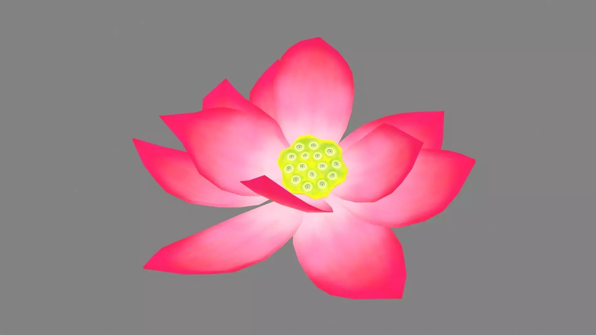 A red lotus - Cartoon lotus - Open stamens Low-poly 3D model_0