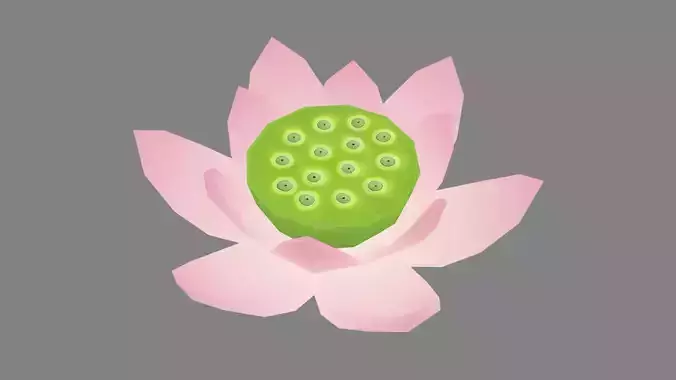 A pink lotus - Cartoon lotus - Open stamens