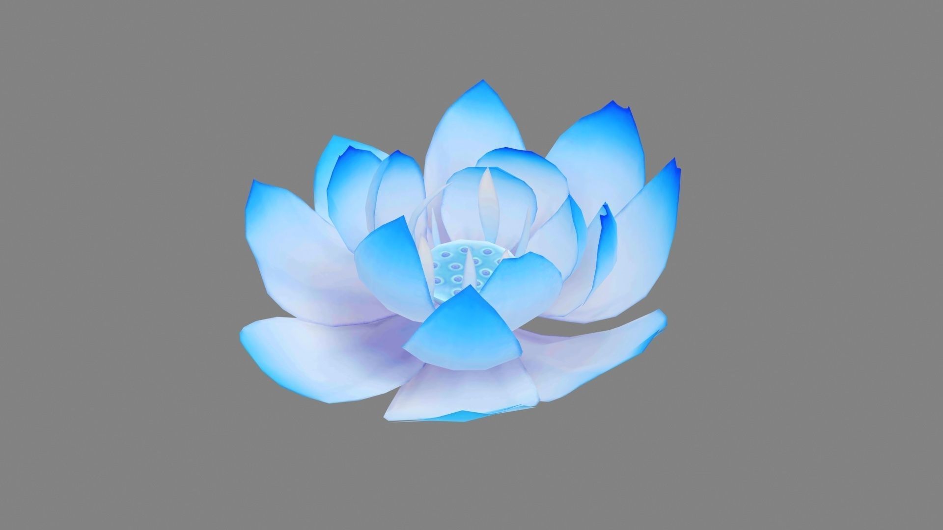 A blue lotus - Cartoon lotus - Open stamens - Mutant lotus Low-poly 3D model_2